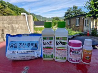 성은모님의 기타작물 · 영농일지 작성글 사진