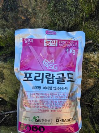 조정미님의 작성글 사진