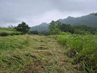 황매산신령님의 기타작물 · 영농일지 작성글 사진