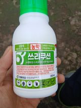 라이온3241님의 작성글 사진