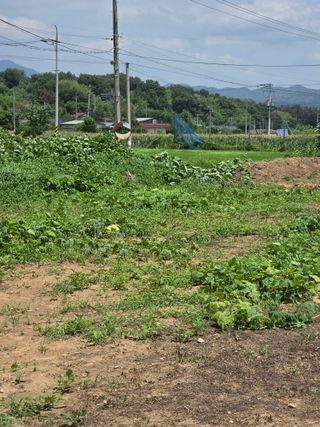 양파12861님의 작성글 사진