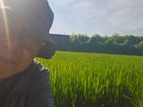 넥스젠님의 작성글 사진