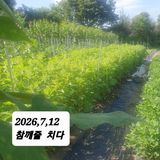 팜모닝 기타작물·영농일지 게시글 이미지