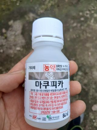 라이온3241님의 귤 · 영농일지 작성글 사진