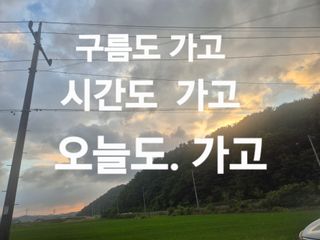 늘햇살팜 님의 기타작물 · 영농일지 작성글 사진