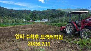 축복의땅 에덴동산님의 기타작물 · 영농일지 작성글 사진