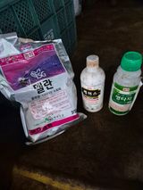 팜모닝 기타작물·영농일지 게시글 이미지