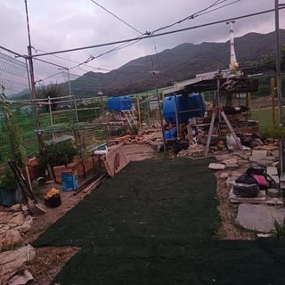 正覺님의 기타작물 · 영농일지 작성글 사진