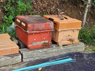 발해인님의 기타작물 · 영농일지 작성글 사진
