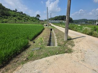 공주 음나무 농장님의 벼 · 영농일지 작성글 사진