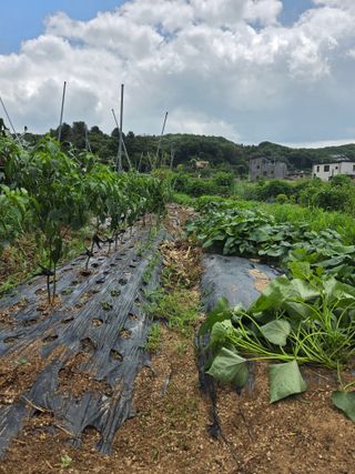 김윤회님의 작성글 사진
