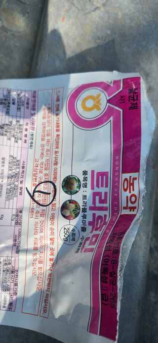 백우흠님의 감 · 영농일지 작성글 사진