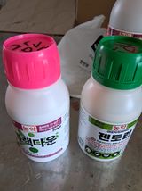팜모닝 기타작물·영농일지 게시글 이미지