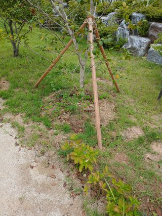 김윤철님의 기타작물 · 영농일지 작성글 사진