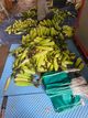 홈 갤러리 이미지