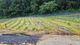 홈 갤러리 이미지