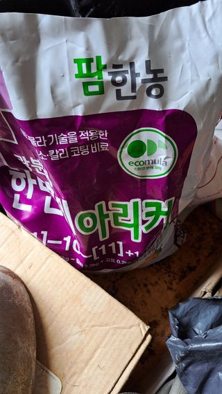주윤발이님의 감 · 영농일지 작성글 사진
