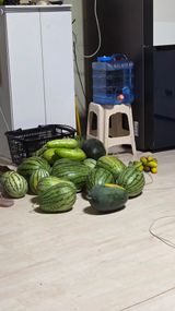 팜모닝 기타작물·영농일지 게시글 이미지
