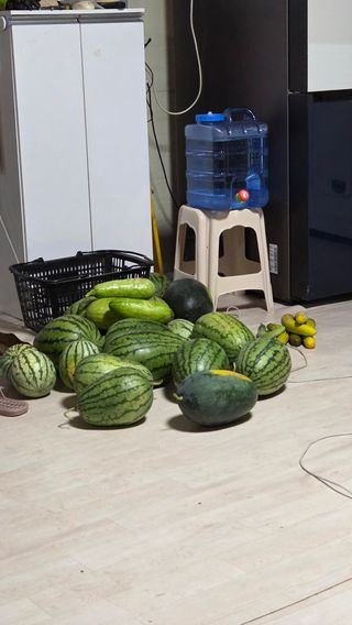 김영철님의 기타작물 · 영농일지 작성글 사진