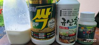 달맛햇복숭아농원님의 고추 · 영농일지 작성글 사진
