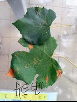 김준호님의 작성글 사진