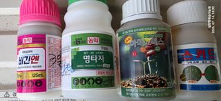 달맛햇복숭아농원님의 복숭아 · 영농일지 작성글 사진