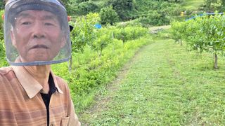 남상호 님의 기타작물 · 영농일지 작성글 사진