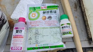 김중달님의 자두 · 영농일지 작성글 사진