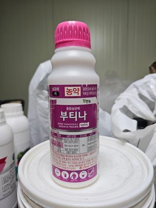 김상엽님의 딸기 · 영농일지 작성글 사진