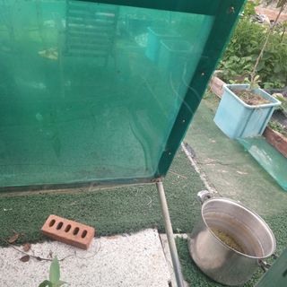 正覺님의 기타작물 · 영농일지 작성글 사진