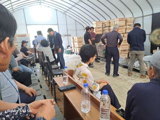 조연만님의 두릅 · 영농일지 작성글 사진