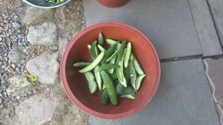 가야산아래촌농님의 기타작물 · 영농일지 작성글 사진