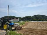 두릅나무9056님의 작성글 사진