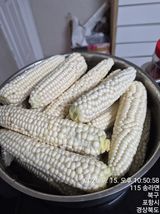 이말분님의 작성글 사진