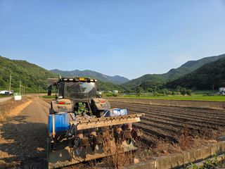 두릅나무9056님의 작성글 사진