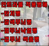 팜모닝 사과·영농일지 게시글 이미지