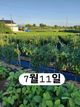 홈 갤러리 이미지