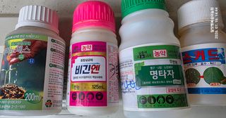 달맛햇복숭아농원님의 복숭아 · 영농일지 작성글 사진
