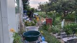 괴동조합장님의 작성글 사진