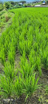 조준님의 작성글 사진