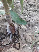 정영석님의 작성글 사진