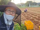 심기정님의 작성글 사진