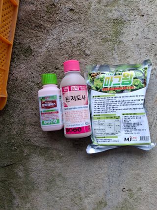 흑포님의 사과 · 영농일지 작성글 사진