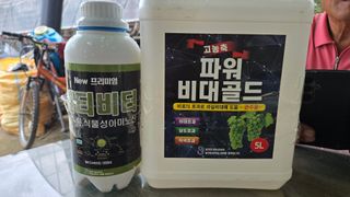 전진원님의 포도 · 영농일지 작성글 사진
