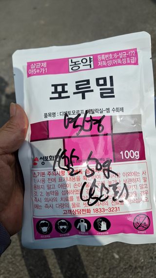 김석원님의 참깨 · 영농일지 작성글 사진