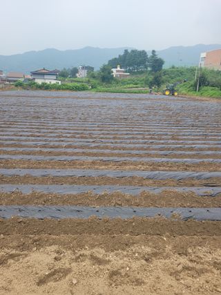 박병균님의 기타작물 · 영농일지 작성글 사진