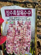 팜모닝 옥수수·영농일지 게시글 이미지