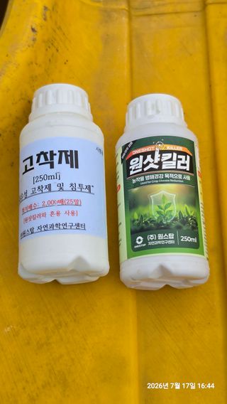 자연결농원님의 들깨 · 영농일지 작성글 사진