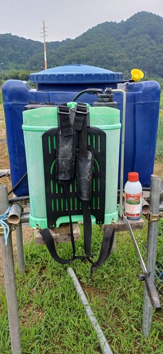 남궁봉님의 작성글 사진