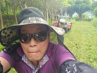 유자황칠님의 기타작물 · 영농일지 작성글 사진